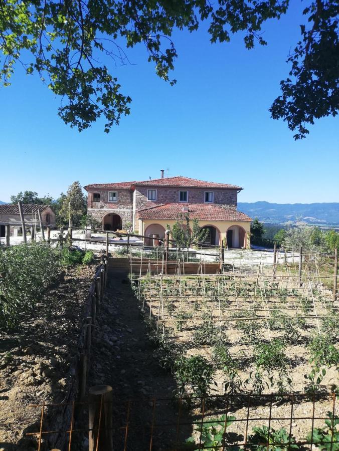 Podere Il Sasso Barberino di Mugello Buitenkant foto
